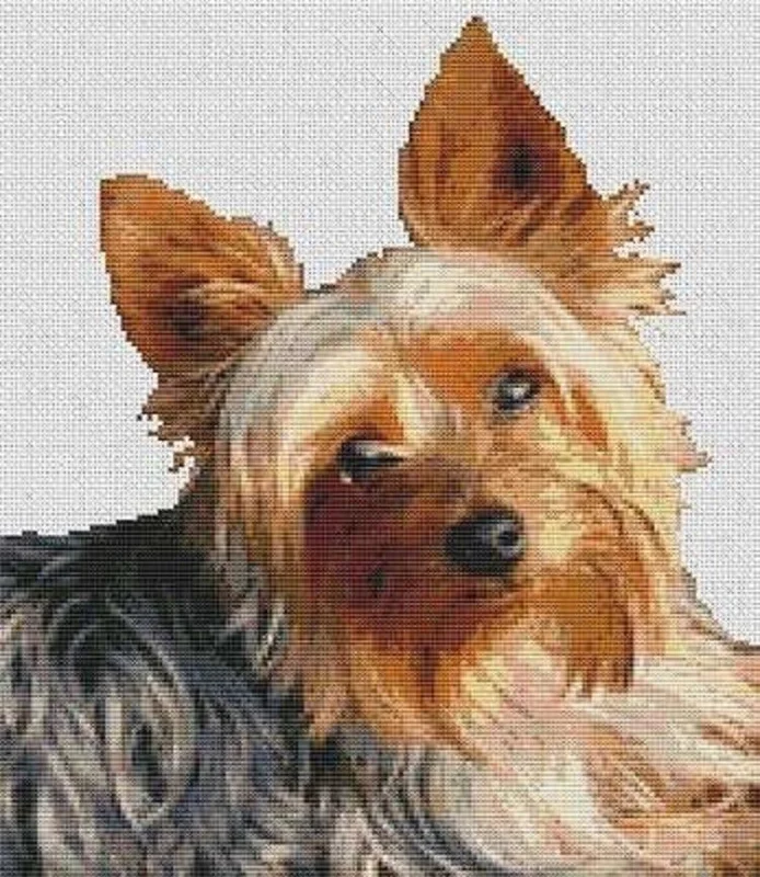 everythingcrossstitch-787766