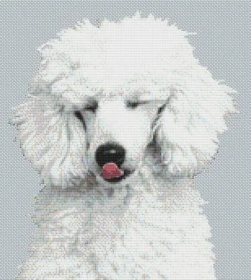 everythingcrossstitch-796074