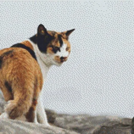 everythingcrossstitch-798430