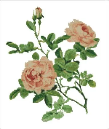 everythingcrossstitch-854863