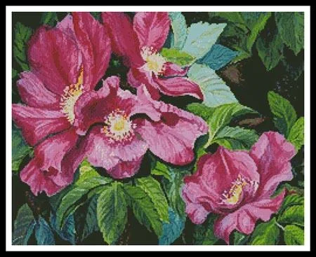 everythingcrossstitch-855189