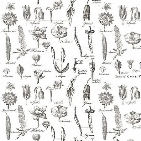 yoderdepartmentstore1371653
