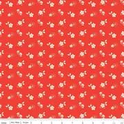 yoderdepartmentstore2474046