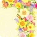 yoderdepartmentstore2549650
